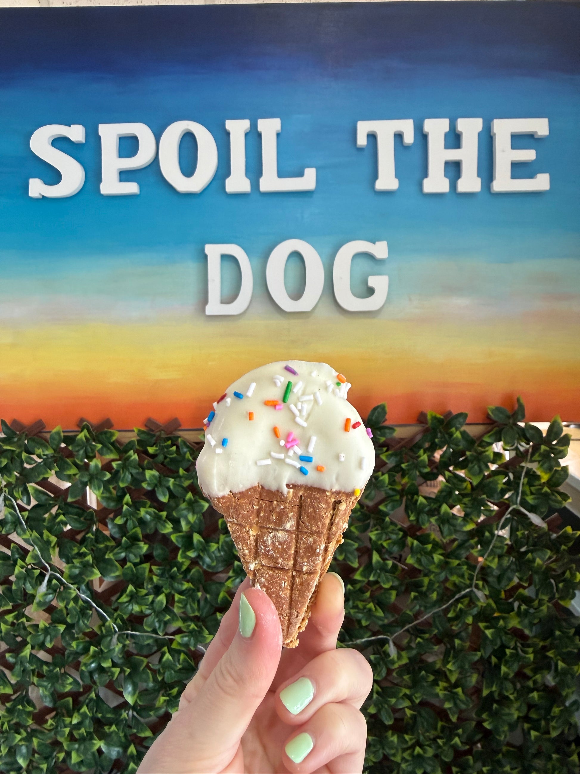 Hand holding a ice cream cone with sprinkles against a rainbow background with 'Spoil The Dog' text.