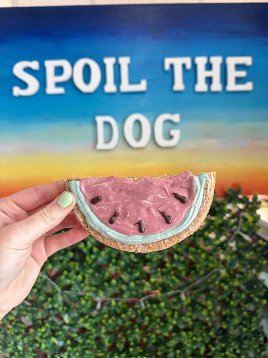 Hand holding a dog treat shaped like watermelon with 'Spoil the Dog' branding.