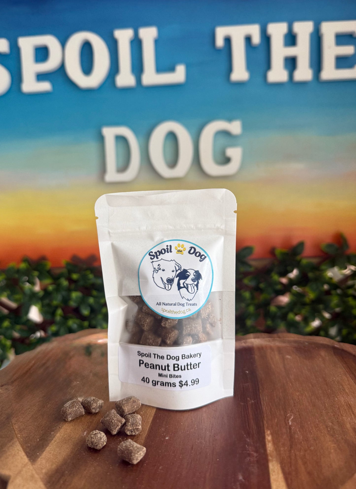 Pouch of Spoil The Dog treat on a wooden surface with a scenic background