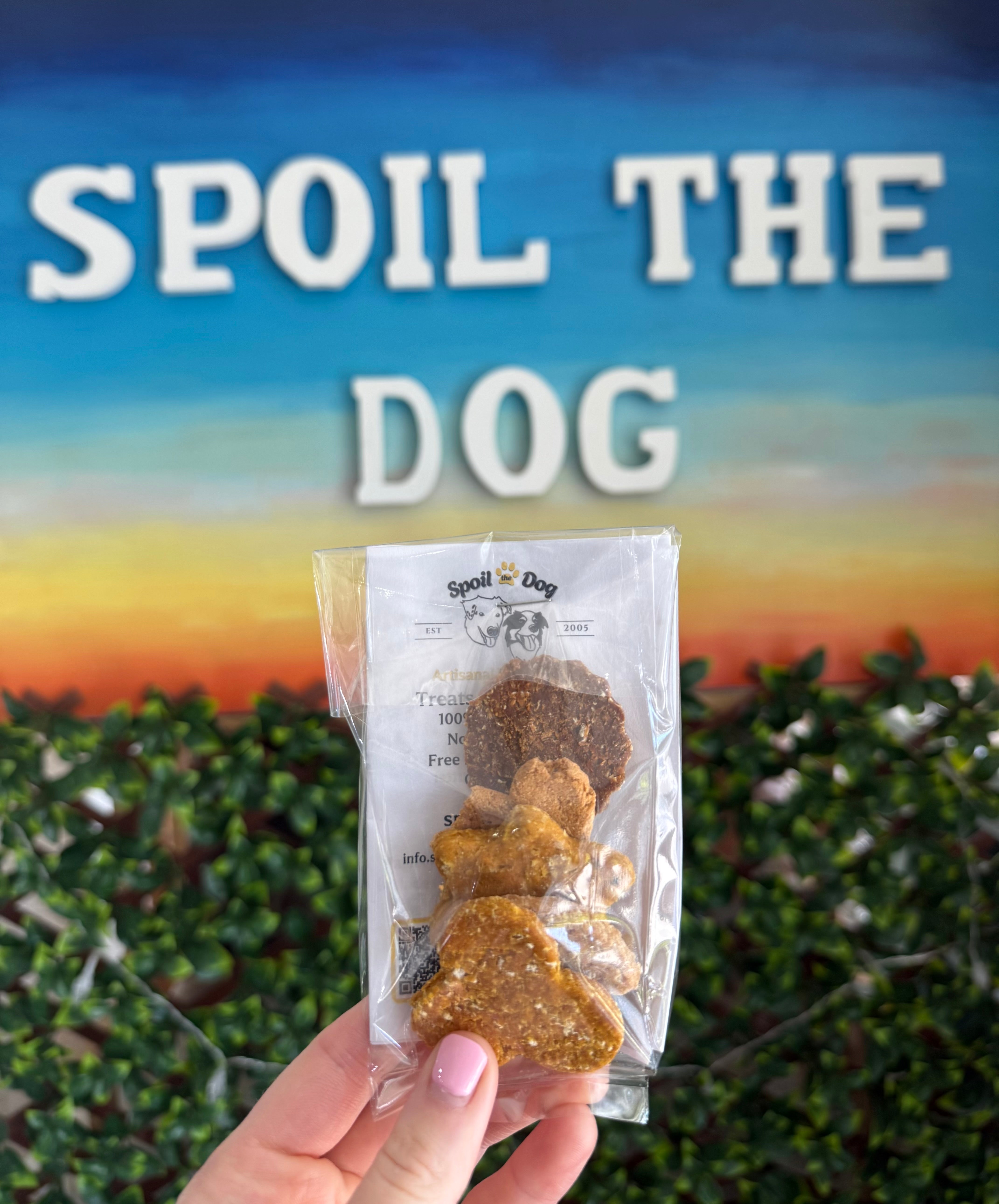 Packaged dog treats held in front of a 'Spoil the Dog' sign with a scenic background.