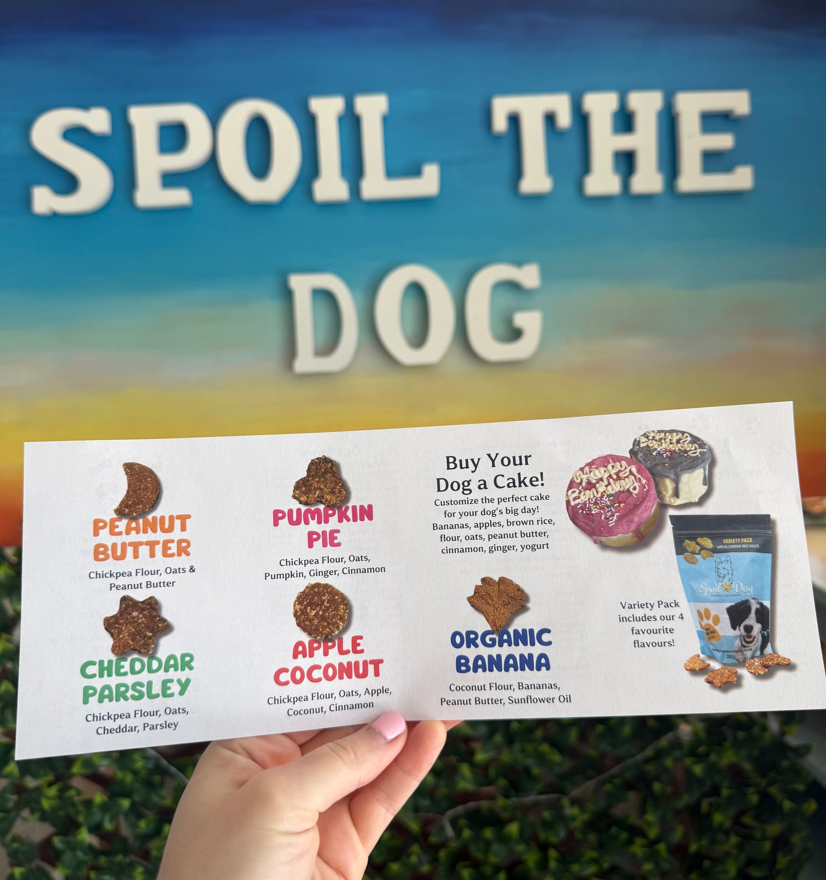 Product packaging for dog treats with flavors listed, held against a scenic background.