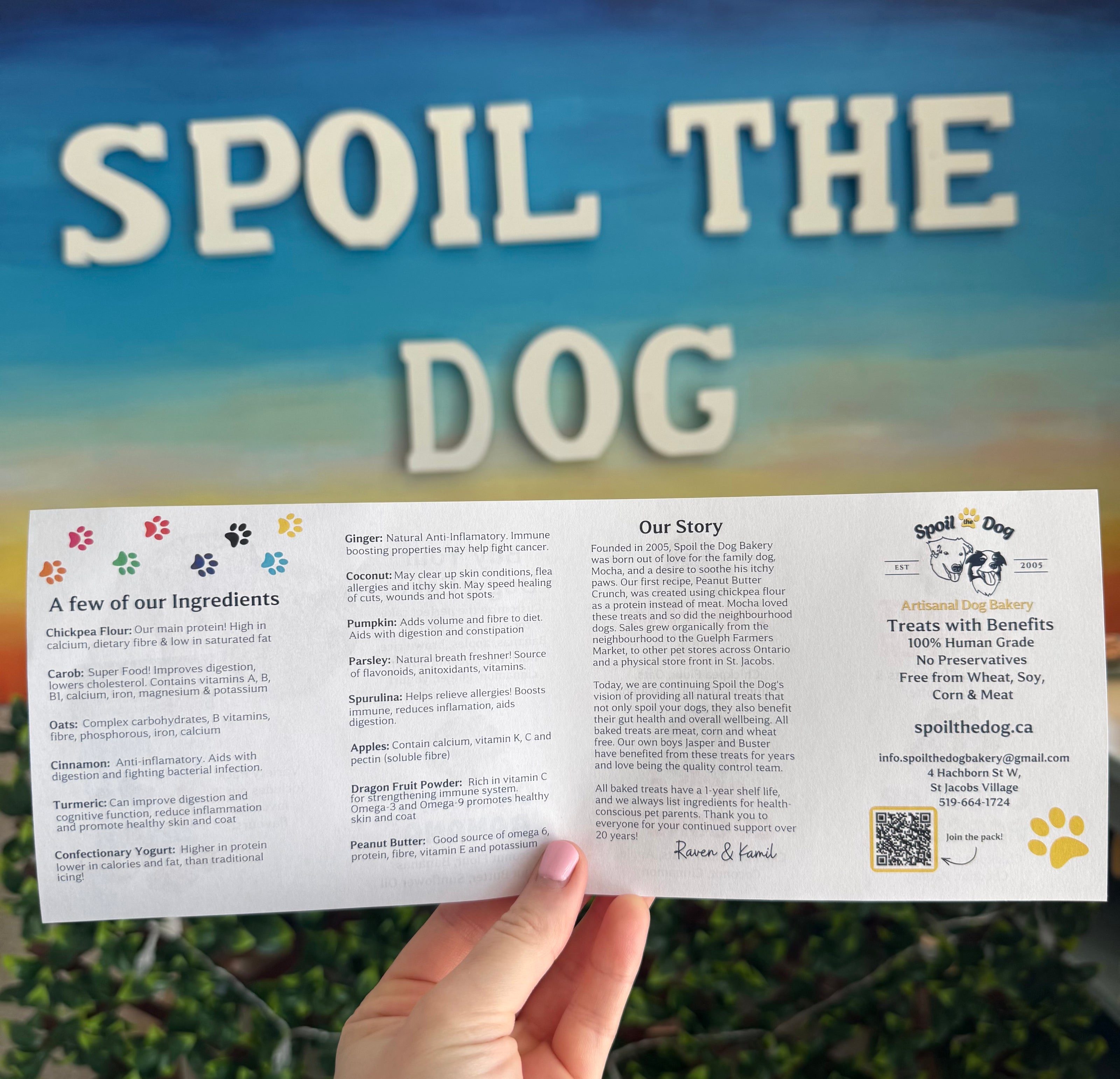 Hand holding a 'Spoil the Dog' product information sheet with a scenic background.