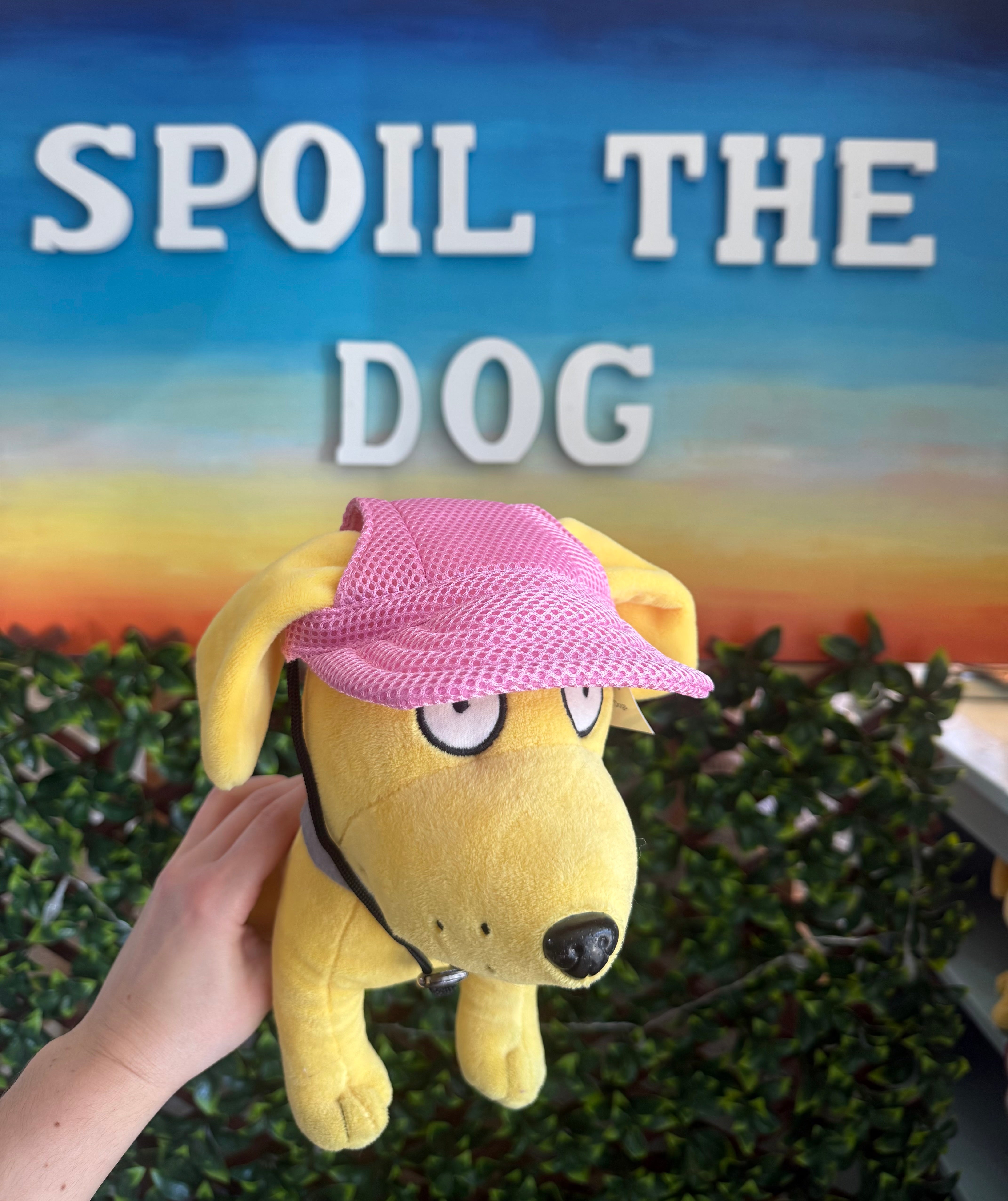 Tail Up Dog Sun Hats/Sun Protection for Dogs