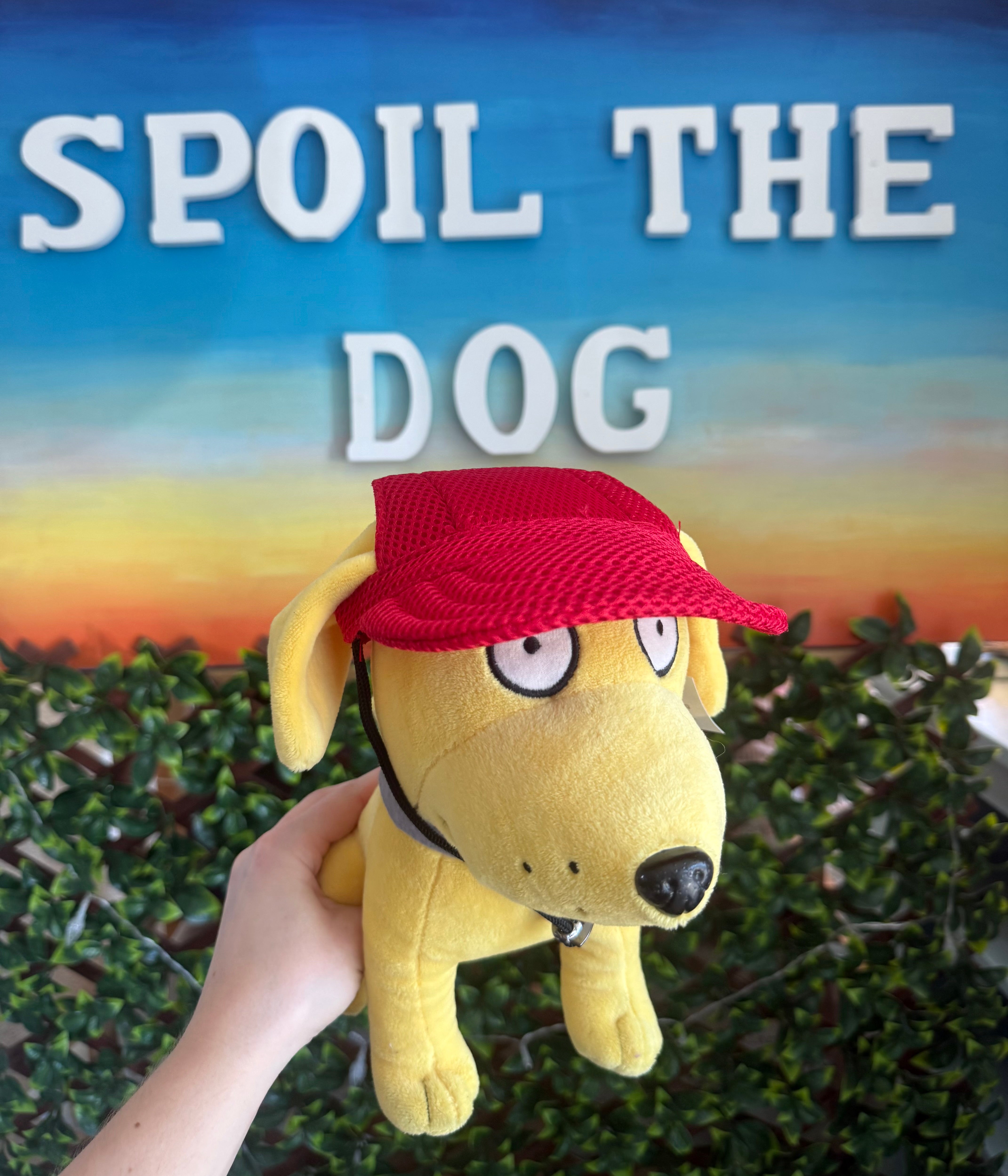 Tail Up Dog Sun Hats/Sun Protection for Dogs