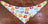 Reversible Dog Bandana