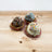 Three dog cupcakes with different toppings and sprinkles on a wooden surface.