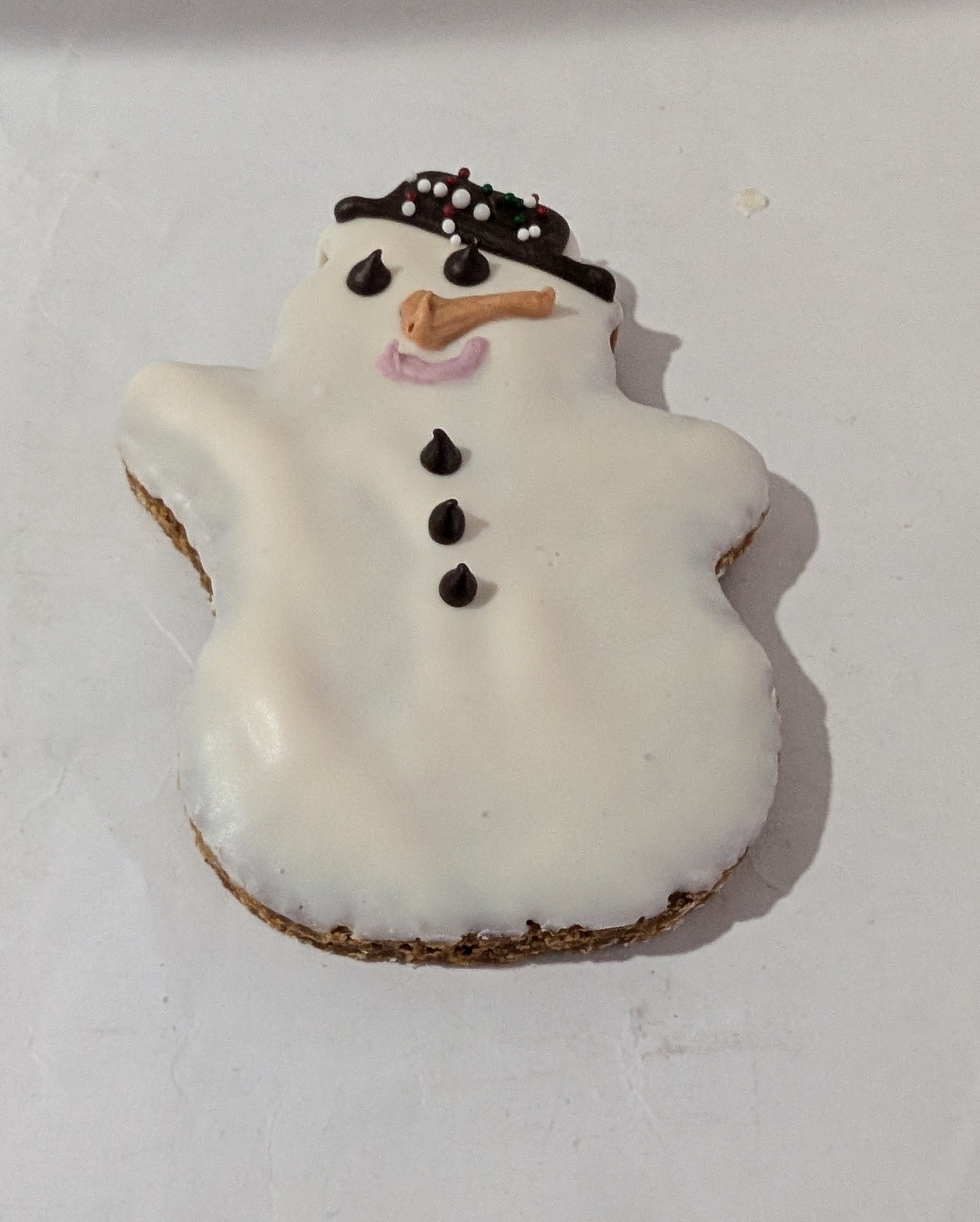 snowman shaped dog cookie on white background