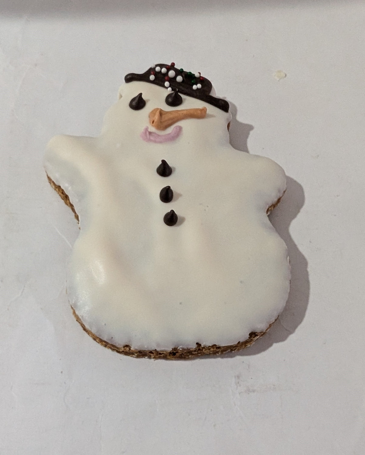 snowman shaped dog cookie on white background