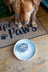 Dog Barkday/ Gotcha Day Special Occasion Cakes