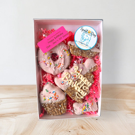 Dog Birthday Happy BARKday Sassy Girl Peanut Butter OR Apple Coconut