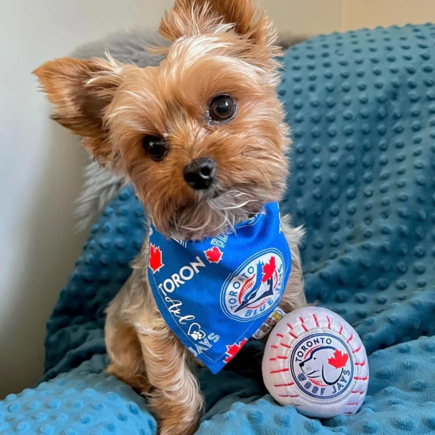 Toronto Woofjays Dog Toy