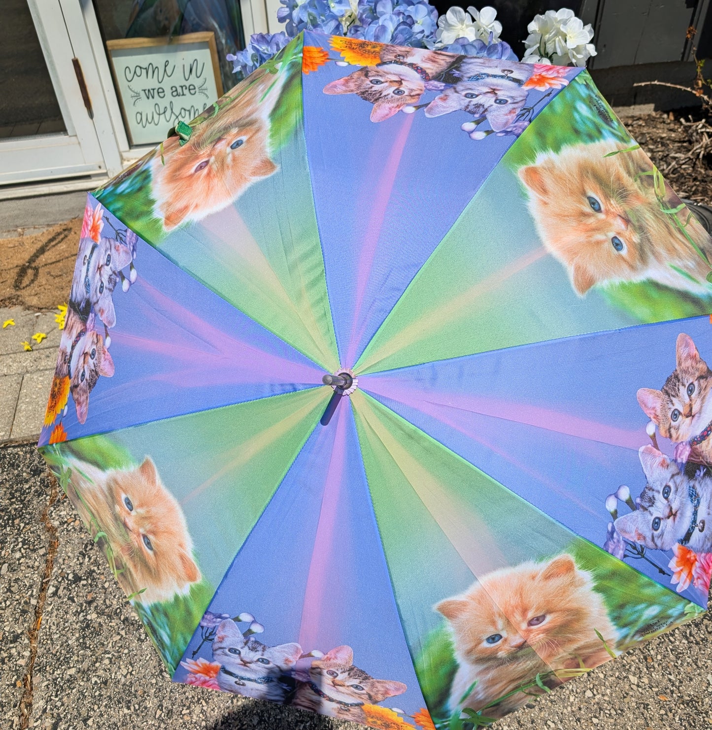 Cat Photo Umbrella