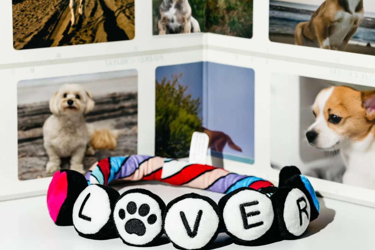 Lover Friendship Bracelet - Rope Dog Toy