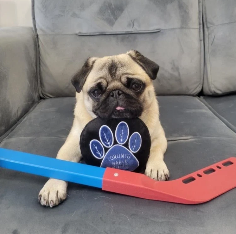 Toronto Maple Mutts Dog Toy