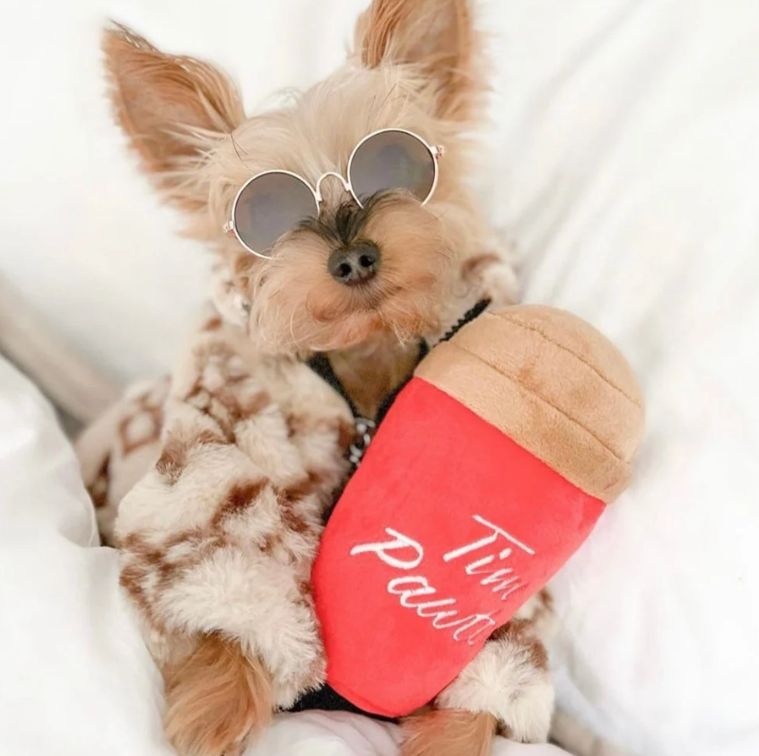 Tim Pawtons Dog Toy