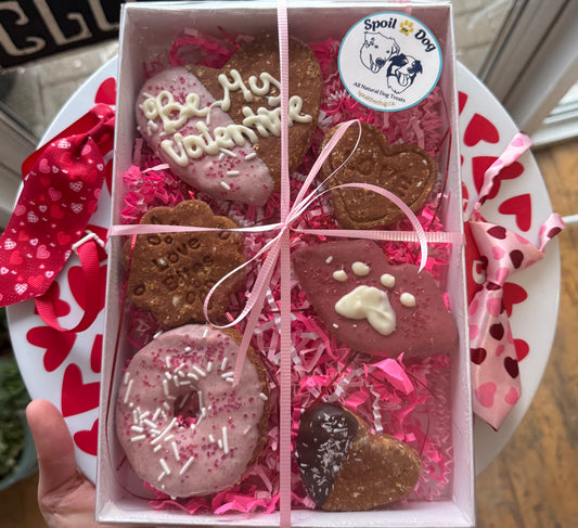 Valentine's Day Dog Treat Gift Box