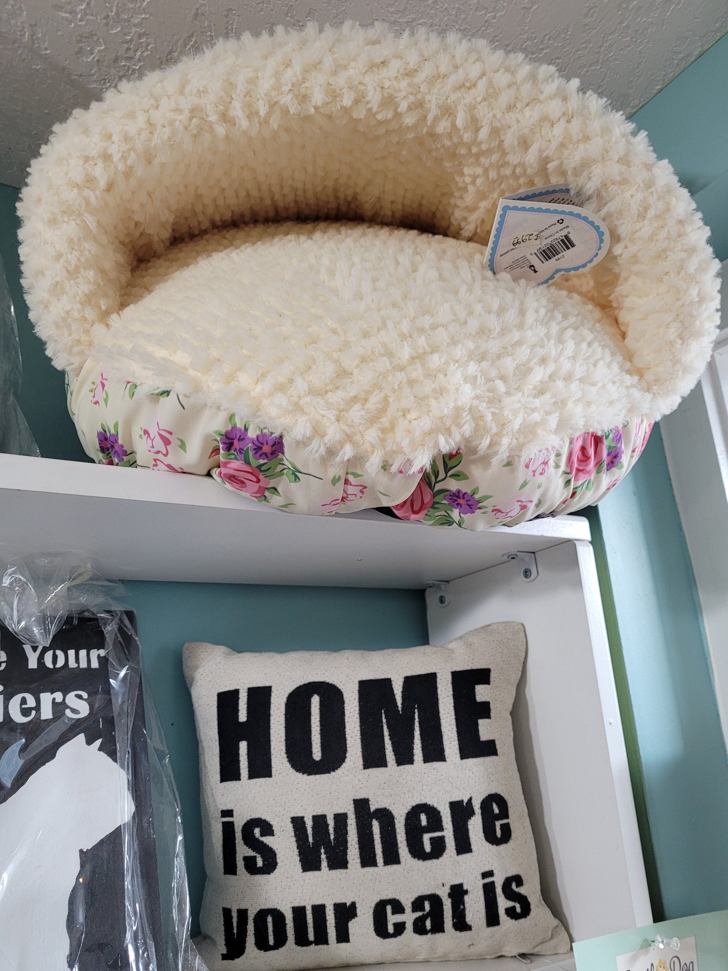 Lit-refuge pour chat