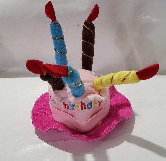 Dog Birthday Hat Pink or Blue