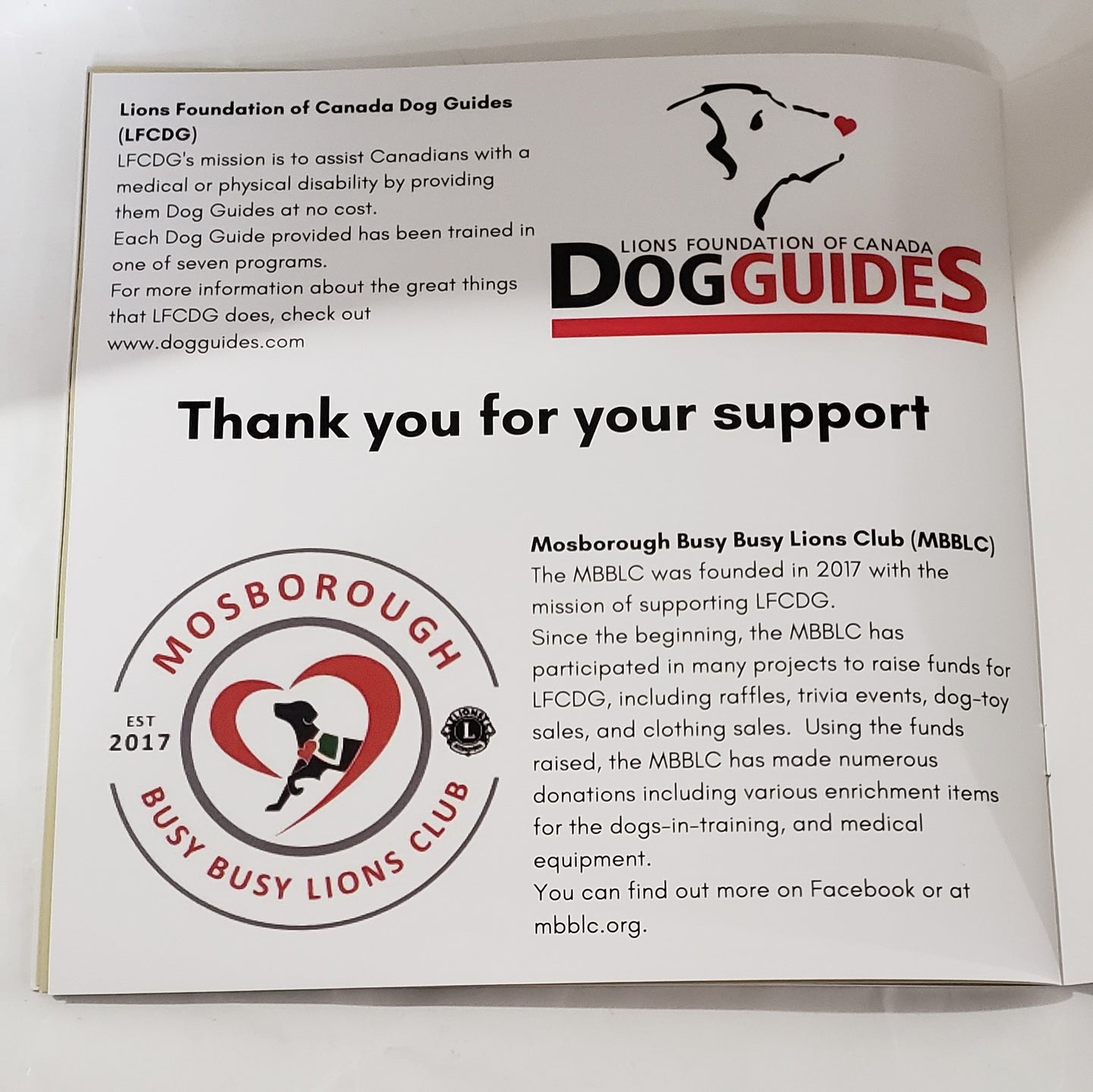 Dog Guide Fundraiser Children's Book "Veeto, Pup With A Destiny"